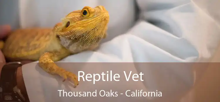 Reptile Vet Thousand Oaks - California