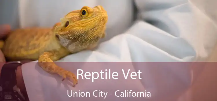 Reptile Vet Union City - California