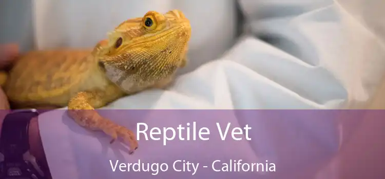 Reptile Vet Verdugo City - California