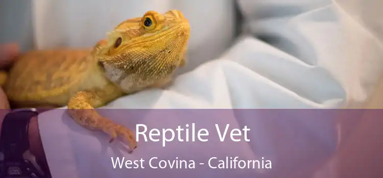 Reptile Vet West Covina - California