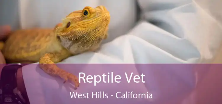 Reptile Vet West Hills - California