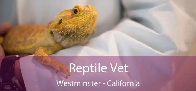 Reptile Vet Westminster - California