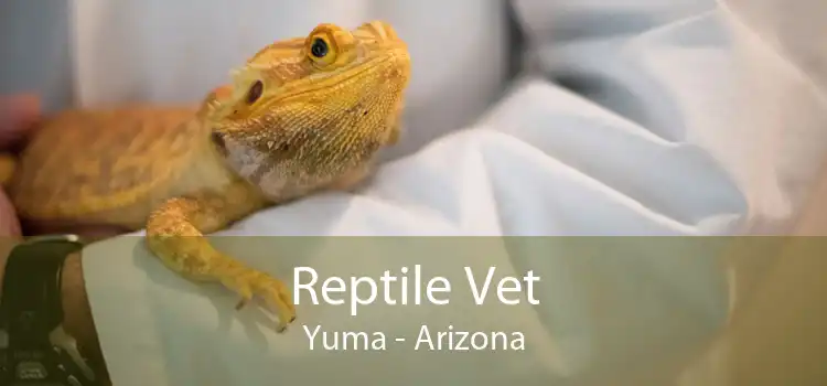 Reptile Vet Yuma - Arizona