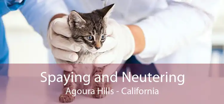 Spaying and Neutering Agoura Hills - California
