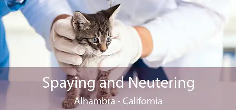 Spaying and Neutering Alhambra - California