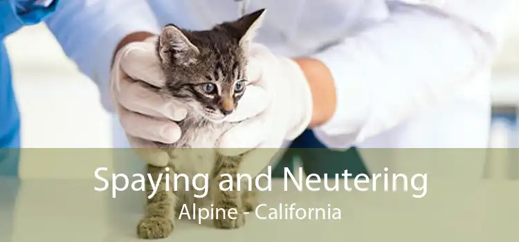 Spaying and Neutering Alpine - California