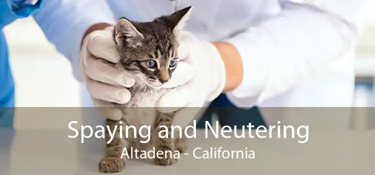 Spaying and Neutering Altadena - California