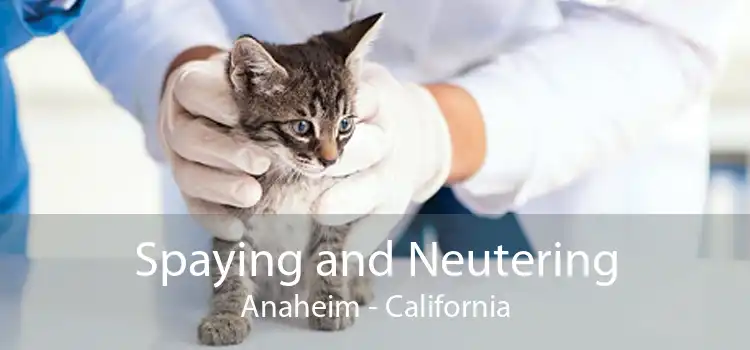 Spaying and Neutering Anaheim - California
