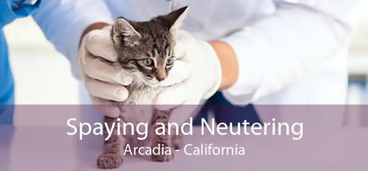 Spaying and Neutering Arcadia - California