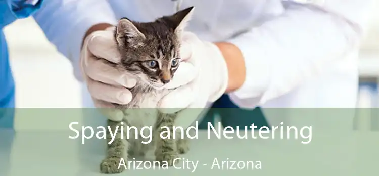 Spaying and Neutering Arizona City - Arizona