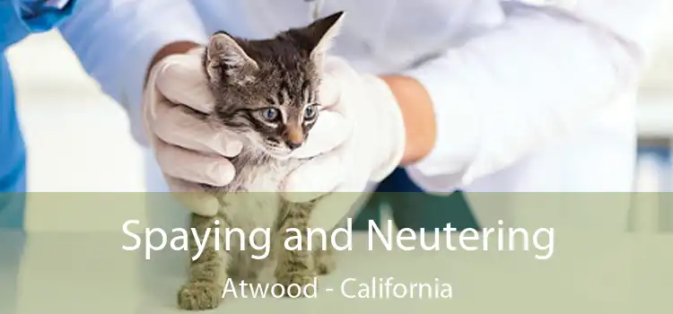 Spaying and Neutering Atwood - California