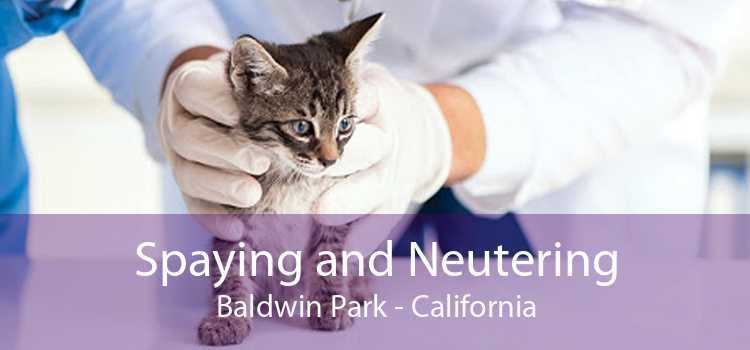 Spaying and Neutering Baldwin Park - California