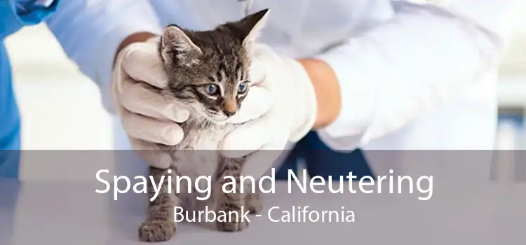Spaying and Neutering Burbank - California