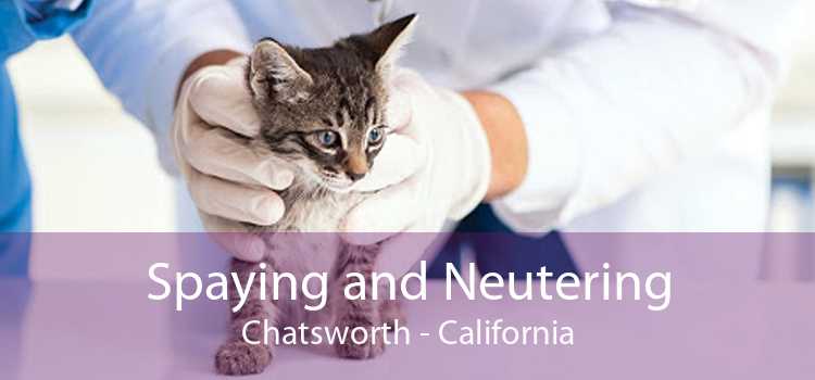 Spaying and Neutering Chatsworth - California