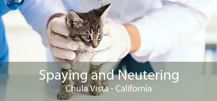Spaying and Neutering Chula Vista - California