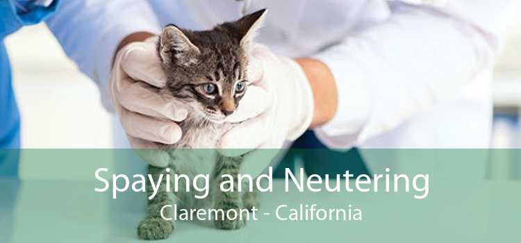 Spaying and Neutering Claremont - California