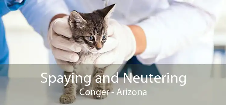 Spaying and Neutering Conger - Arizona