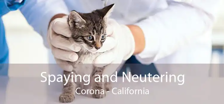 Spaying and Neutering Corona - California