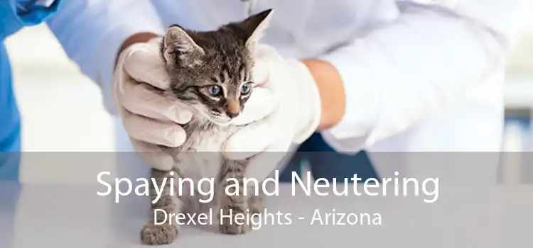 Spaying and Neutering Drexel Heights - Arizona