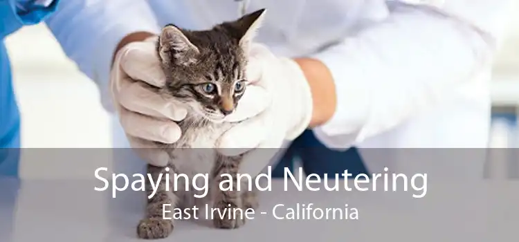 Spaying and Neutering East Irvine - California
