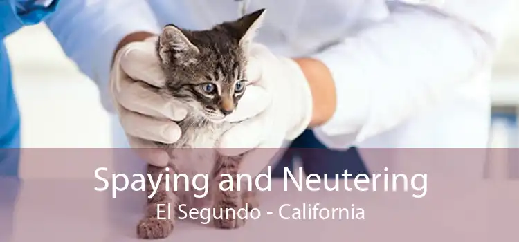Spaying and Neutering El Segundo - California