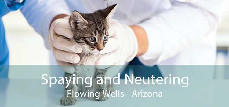 Spaying and Neutering Flowing Wells - Arizona