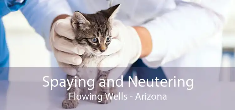 Spaying and Neutering Flowing Wells - Arizona