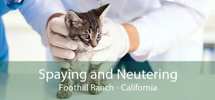 Spaying and Neutering Foothill Ranch - California