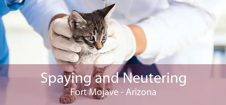 Spaying and Neutering Fort Mojave - Arizona