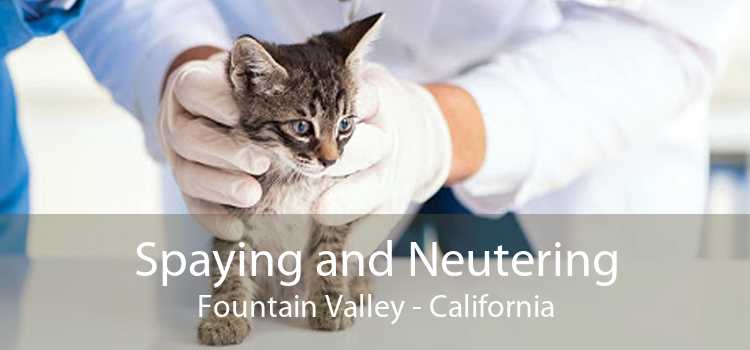 Spaying and Neutering Fountain Valley - California