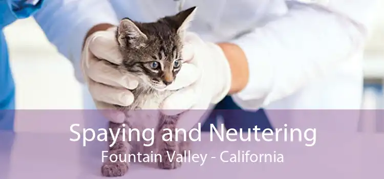 Spaying and Neutering Fountain Valley - California