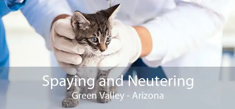 Spaying and Neutering Green Valley - Arizona