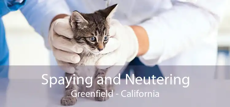 Spaying and Neutering Greenfield - California