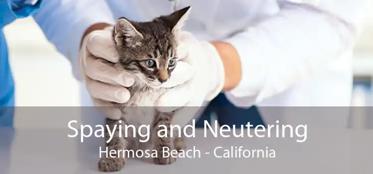 Spaying and Neutering Hermosa Beach - California