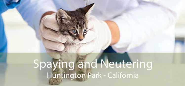 Spaying and Neutering Huntington Park - California