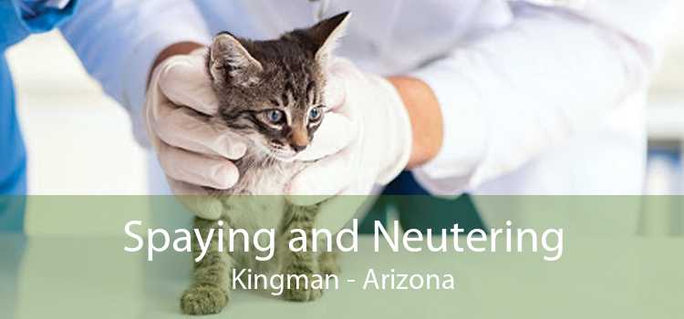 Spaying and Neutering Kingman - Arizona