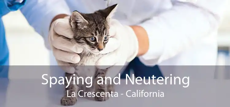 Spaying and Neutering La Crescenta - California
