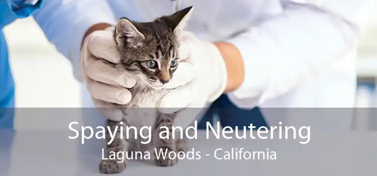 Spaying and Neutering Laguna Woods - California