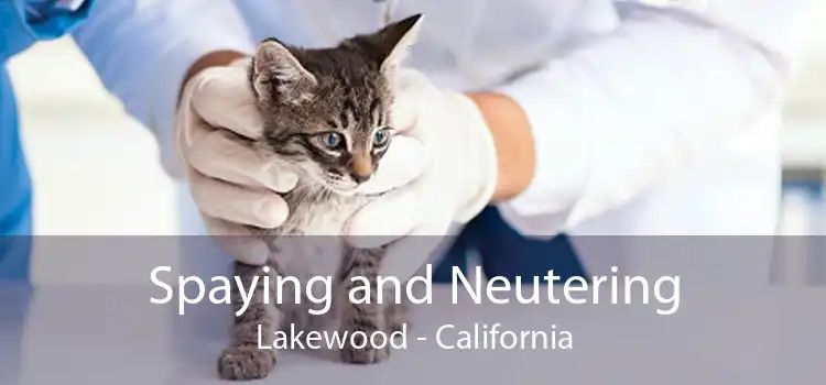 Spaying and Neutering Lakewood - California