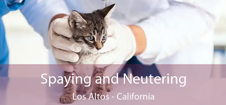 Spaying and Neutering Los Altos - California