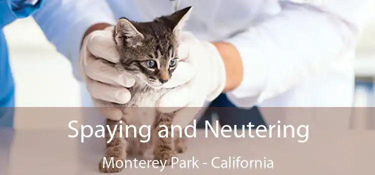 Spaying and Neutering Monterey Park - California