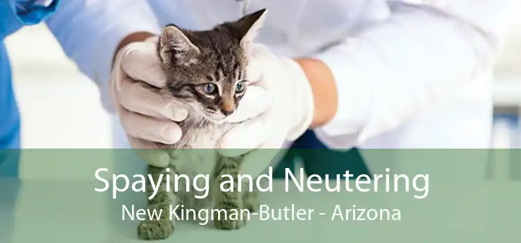 Spaying and Neutering New Kingman-Butler - Arizona