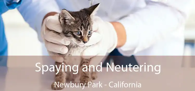 Spaying and Neutering Newbury Park - California