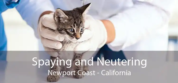 Spaying and Neutering Newport Coast - California