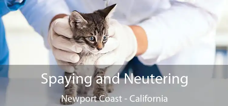 Spaying and Neutering Newport Coast - California