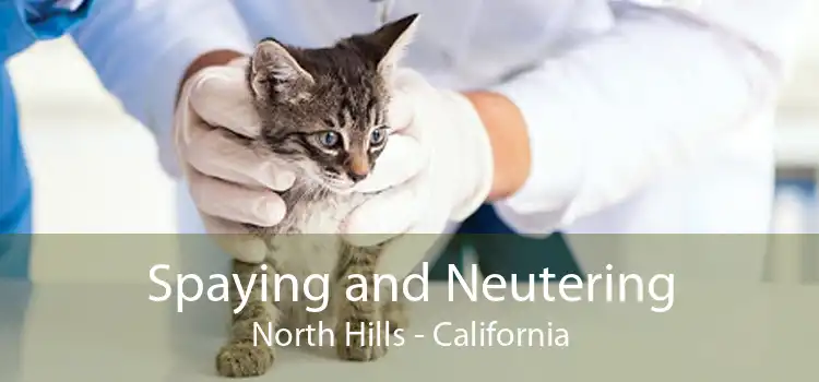 Spaying and Neutering North Hills - California
