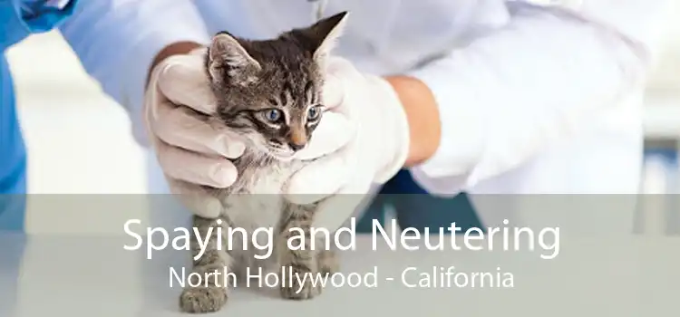 Spaying and Neutering North Hollywood - California