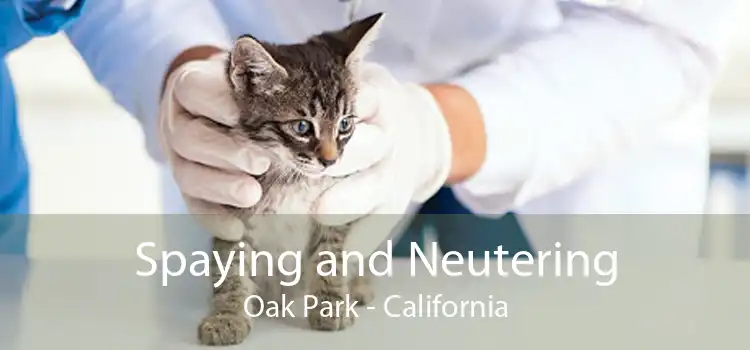 Spaying and Neutering Oak Park - California