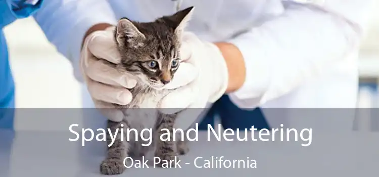 Spaying and Neutering Oak Park - California