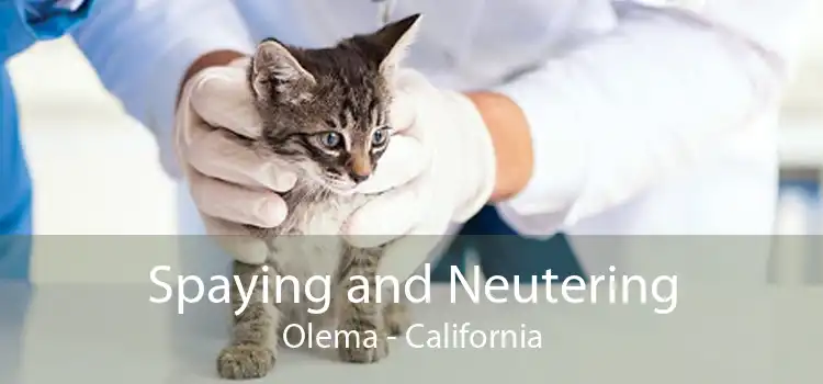 Spaying and Neutering Olema - California